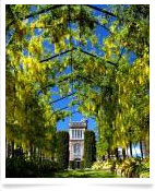 Larnach Castle Garden.