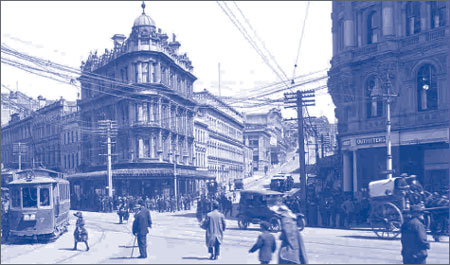 Information about Walk Dunedin