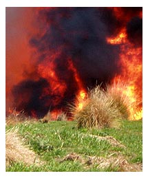 Side image - Dangerous fire. 