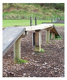 Side image - Dog exercise area. 