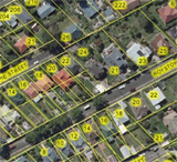 Web map of Dunedin