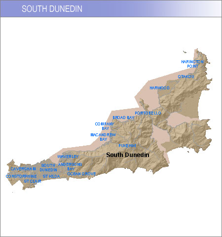Ward map - South Dunedin.