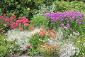 Herbaceous - small.