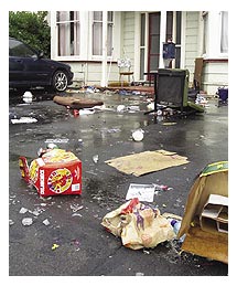 Side image - litter. 