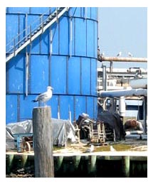 Side image - Water tank. 