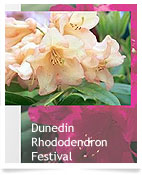 Rhododendron Festival.