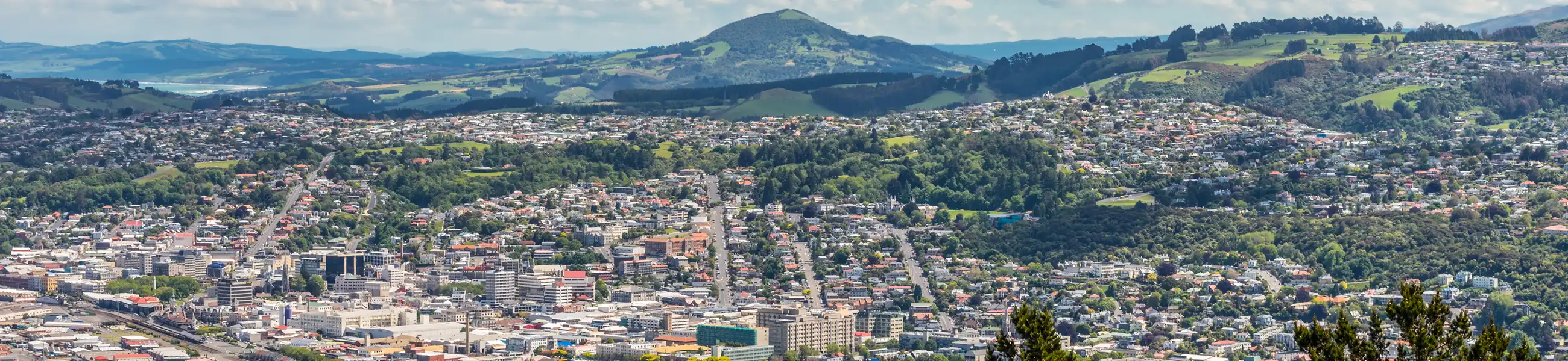 View of Dunedin from Signal Hill banner