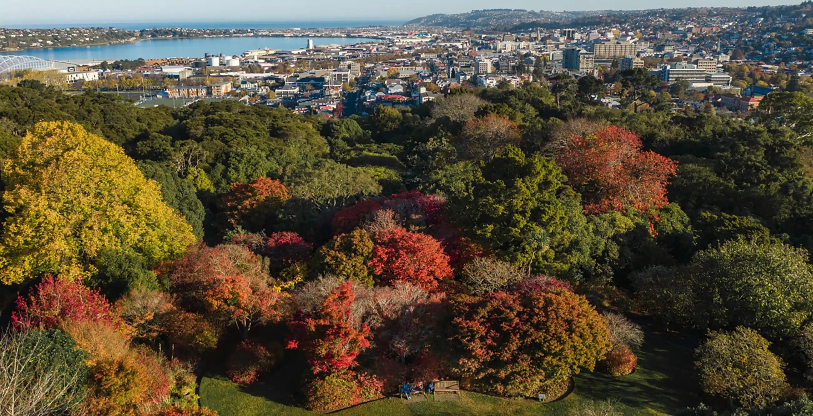 View of the Town Belt