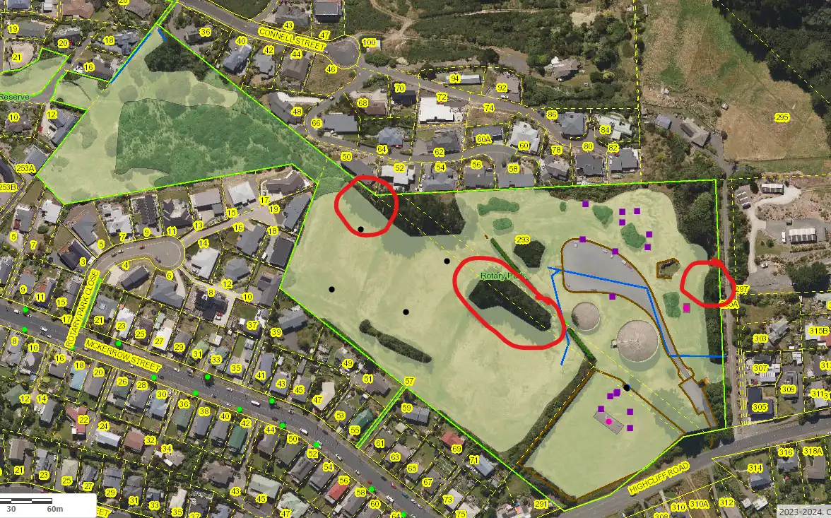 Rotary Park tree work