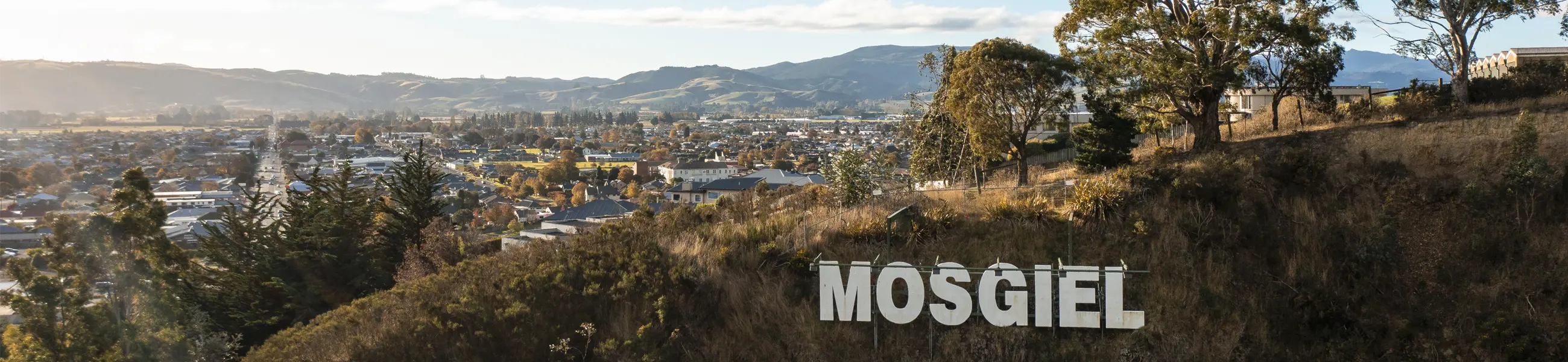 Mosgiel Autumn Scenic image