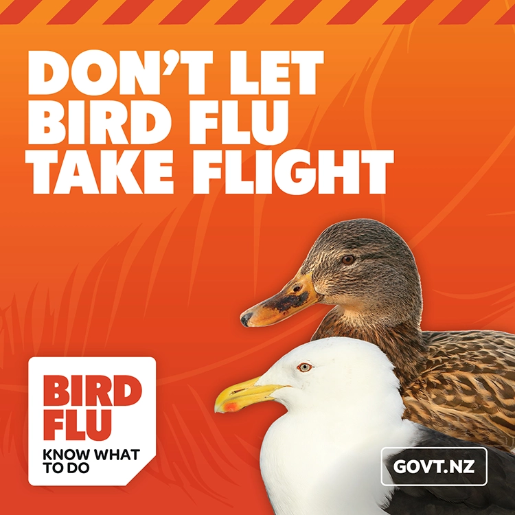 H5 bird flu response campaign