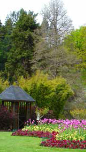 City Parks and gardens