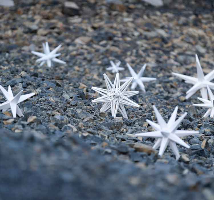 All From Water Close up