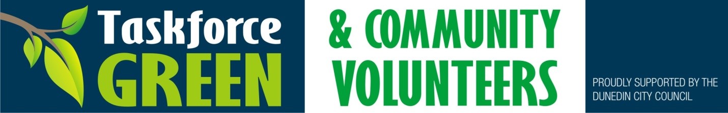 Banner Image for Dunedin's Task Force Green programme