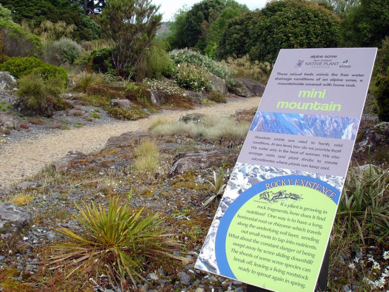 The New Zealand native plant collection has a bold, modern design, reflecting native plants’ strong, dynamic features.