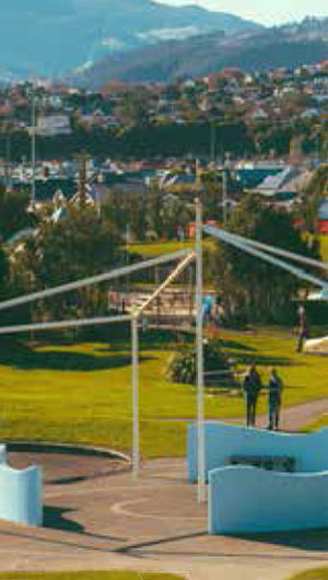 Local and neighbourhood parks