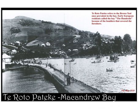 Te Roto Pateke Macandrew Bay