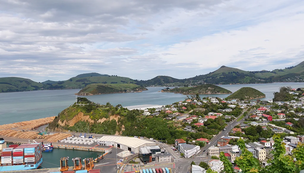 Port Chalmers Town Belt Tracks 