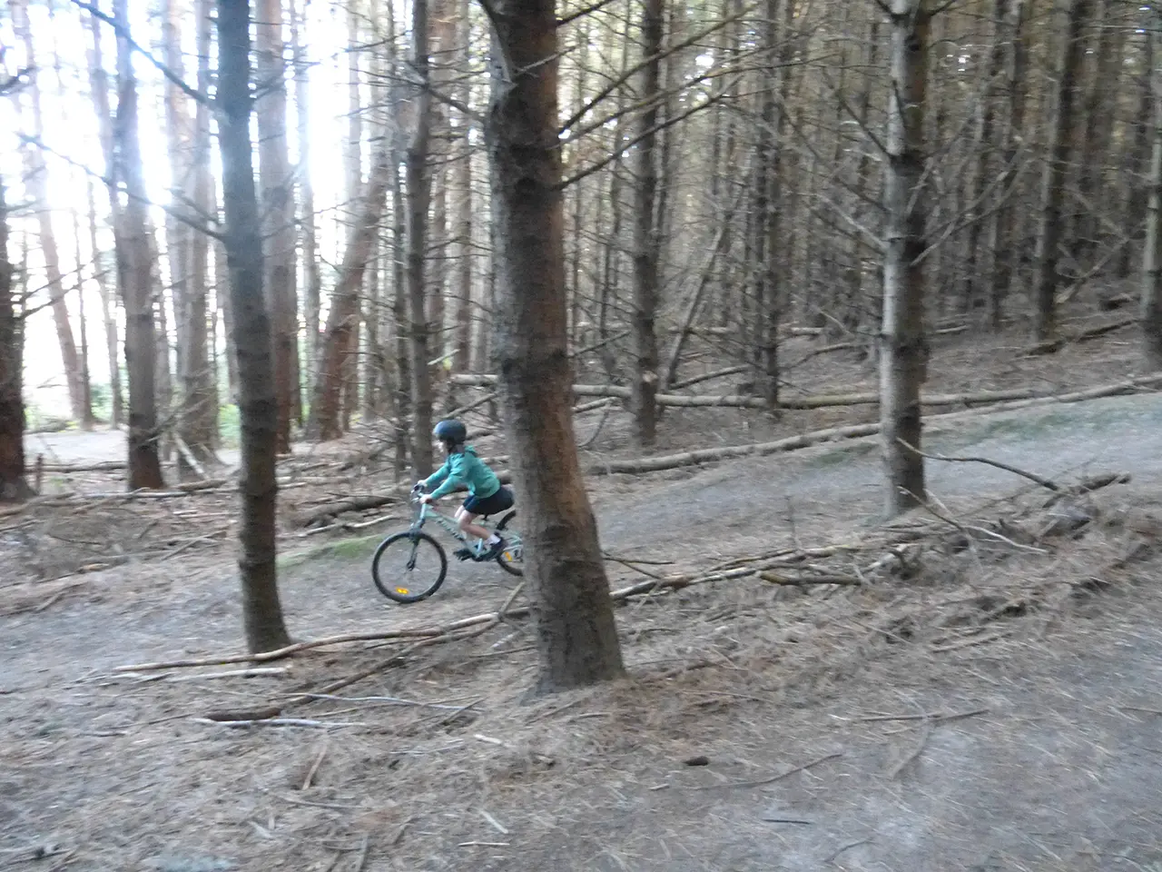 Photo of Bethune's Gully and Forrester Park