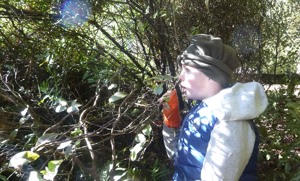 Kid looking from bush on sunny day.