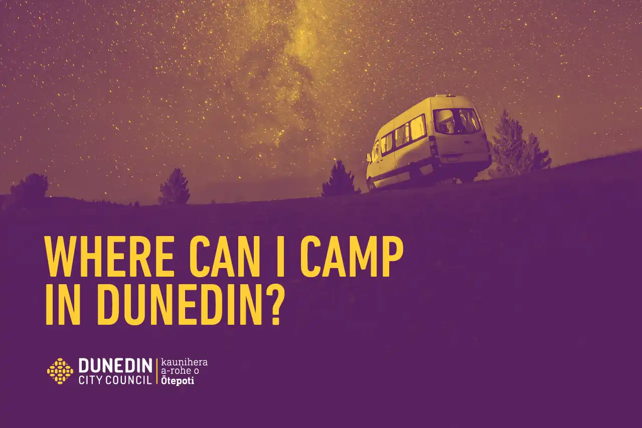 Where can I camp in Dunedin brochure. Click to enlarge
