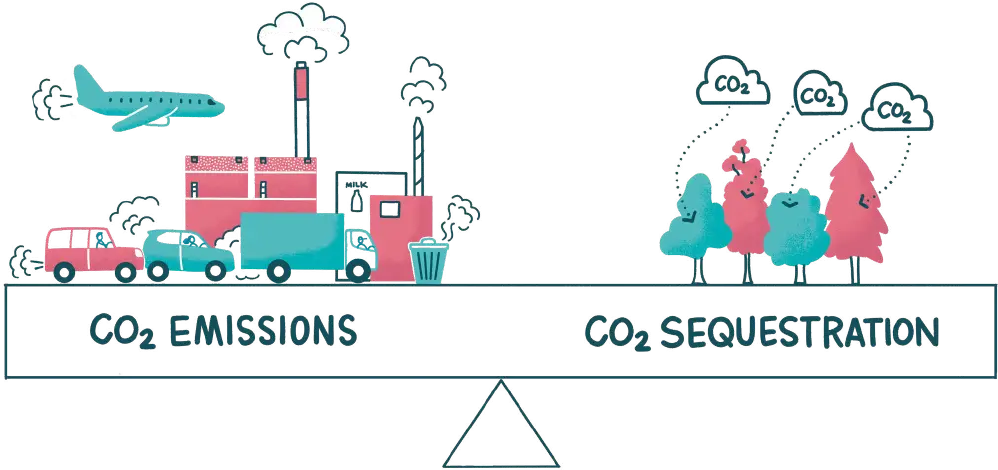 Emissions Squestration