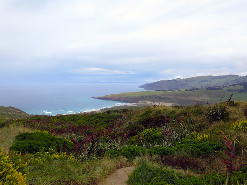 Sandymount-Sandfly Sandymount-Sandfly