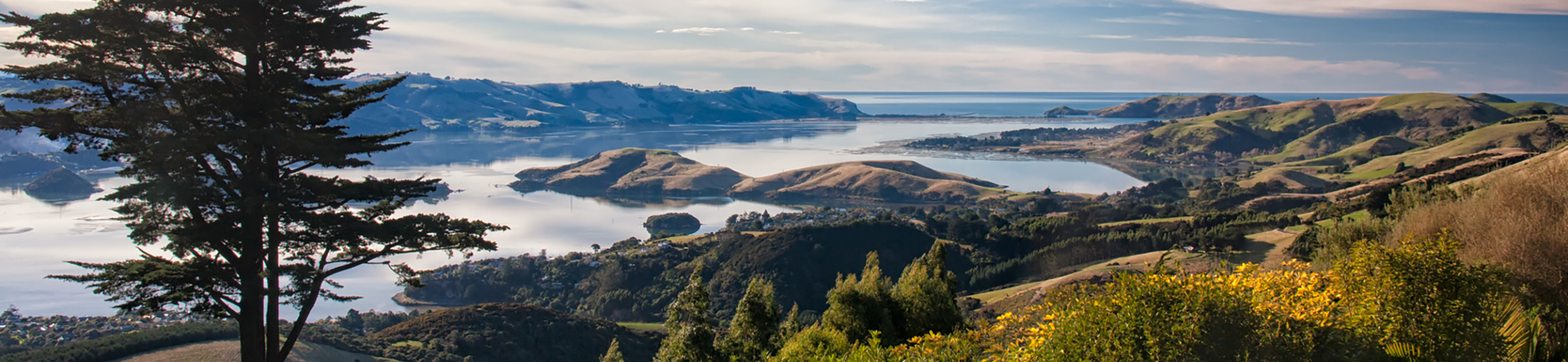 Peninsula aerial view