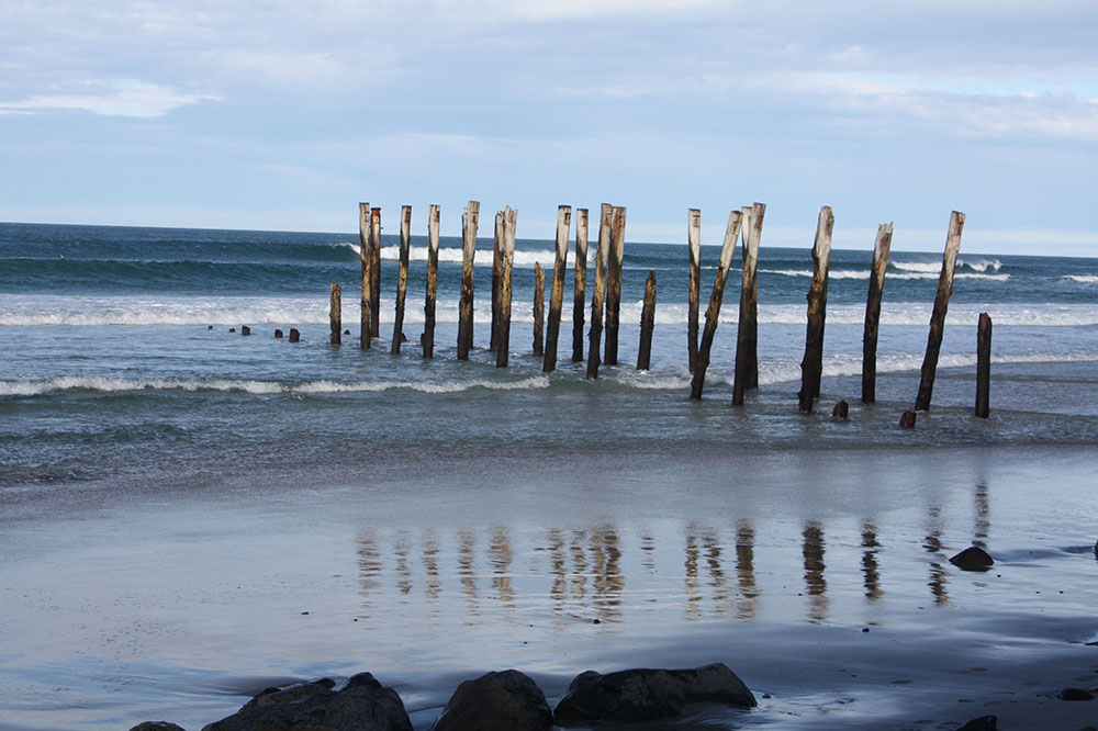 St Clair poles - the remains of the old groyne that was built to trap sand