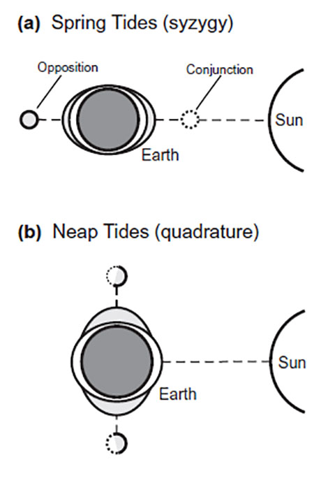A simple figure to demonstrate tides
