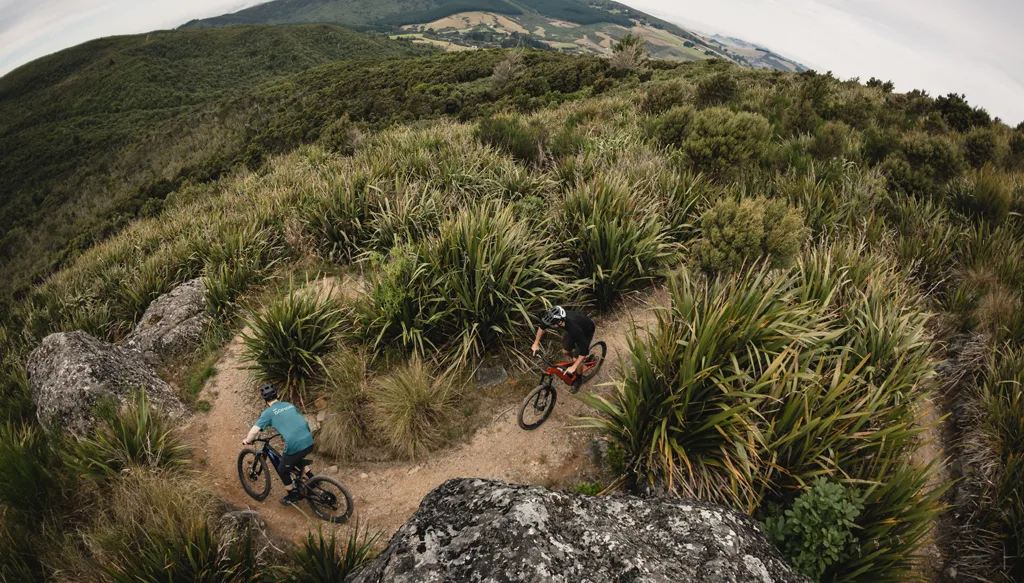 Nicols Creek - Mountain Biking Tracks