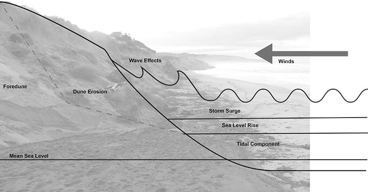 Storm surge examples