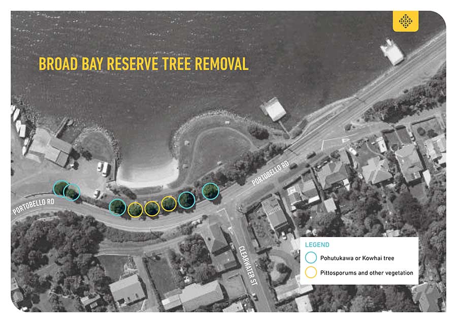 Broad Bay Reserve trees to be removed