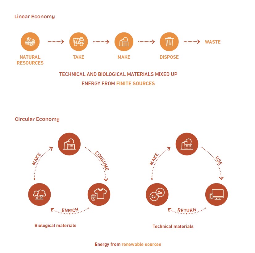 Diagram comparing Linear Economy and Circular Economy. The Linear Economy shows a sequence from Natural Resources to Waste, with steps labelled Take, Make, and Dispose. The Circular Economy is divided into Biological materials and Technical materials cycles, each showing a loop of Make, Consume/Use, Enrich/Return.