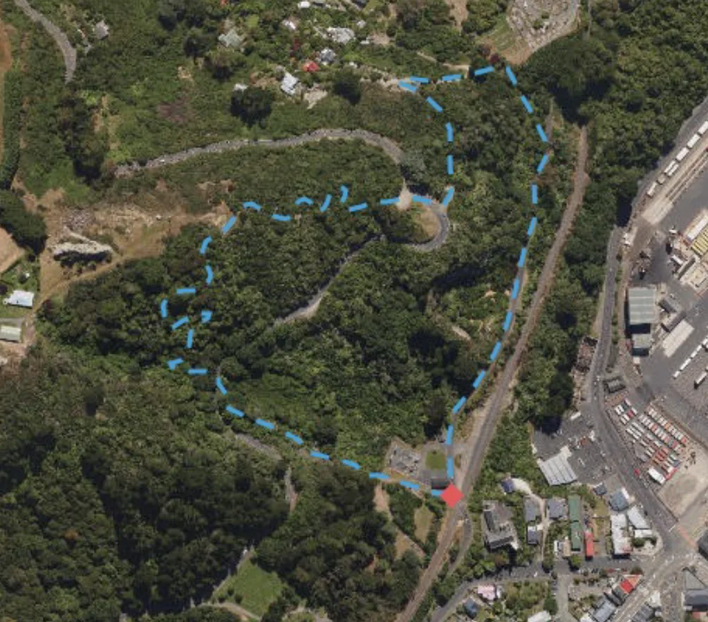 Port Chalmers Town Belt Tracks 