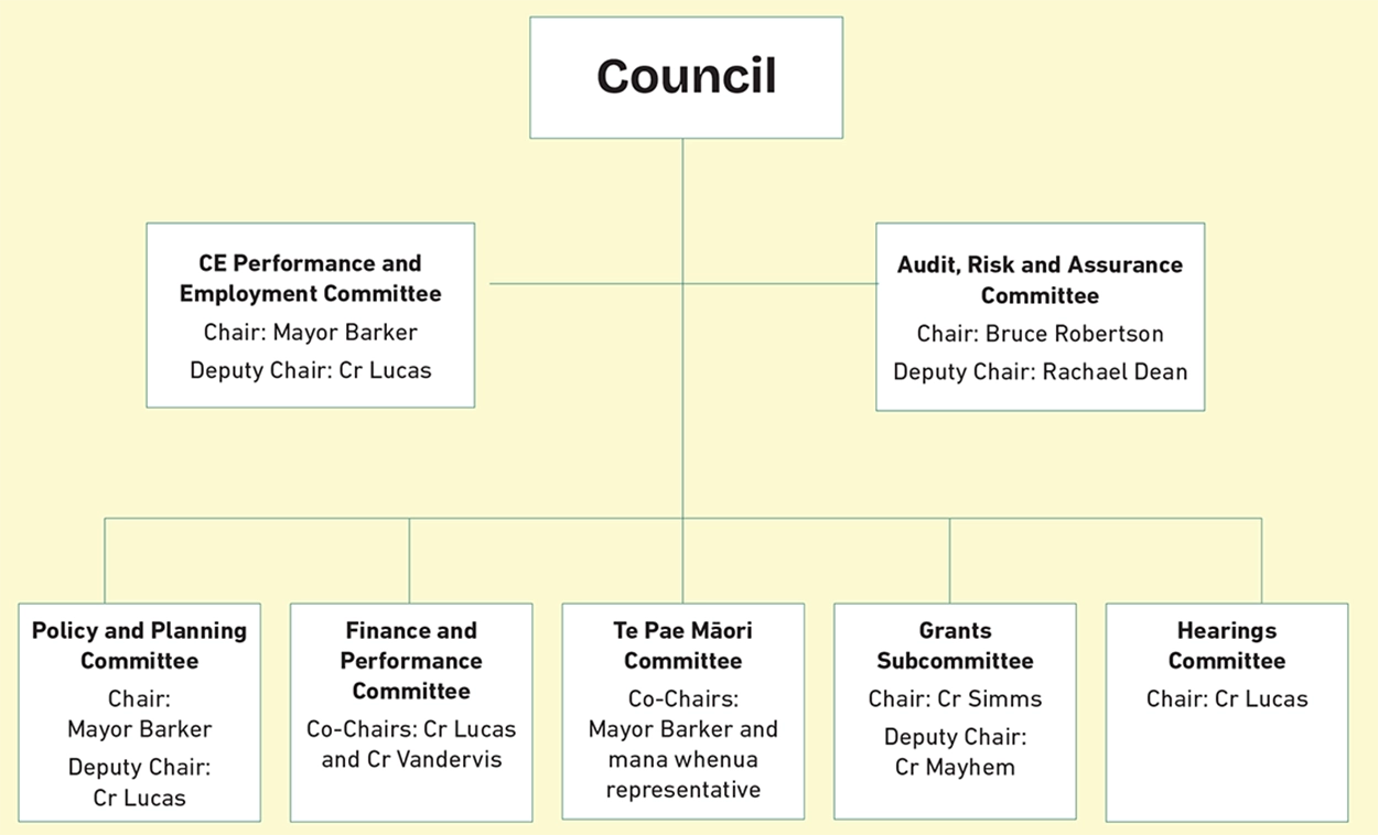 Council committee structure