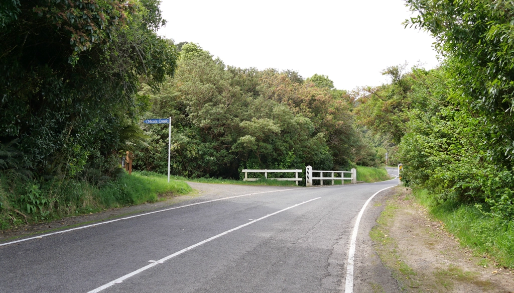Nicols Creek Track