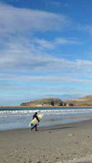 Beaches and coastline