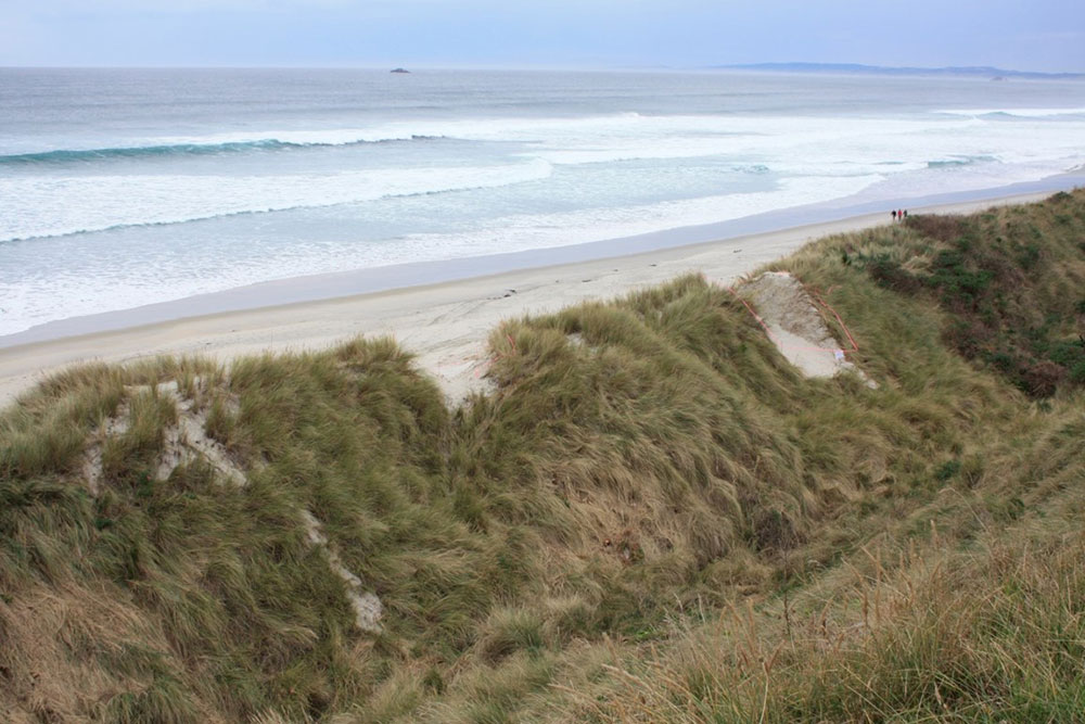 Notches on the day of being excavated