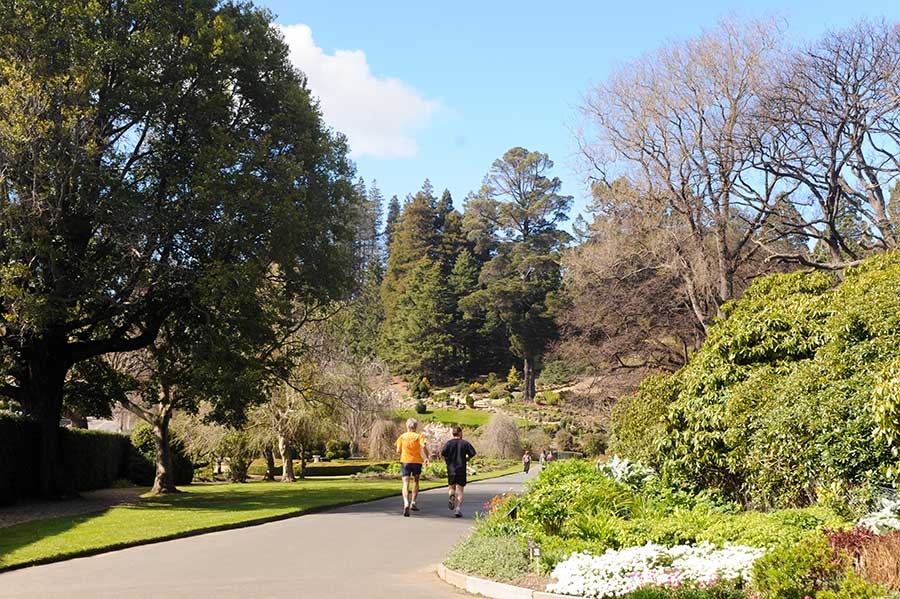 Botanic Garden walking.