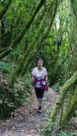 Forests and natural areas