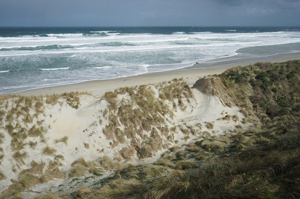 Notches after strong south-westerly winds, the white sand was blown through the notches