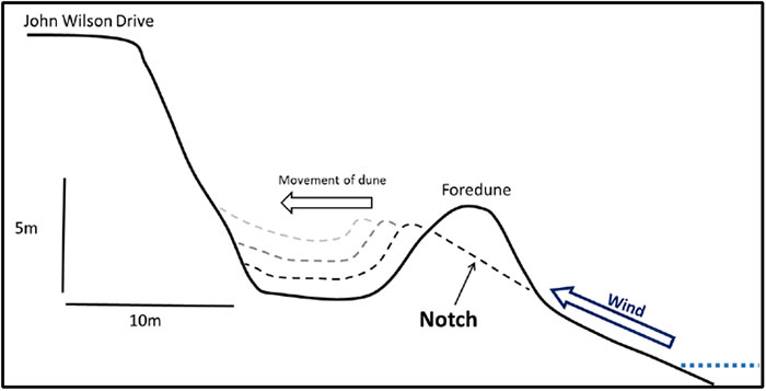Purpose of dune notching