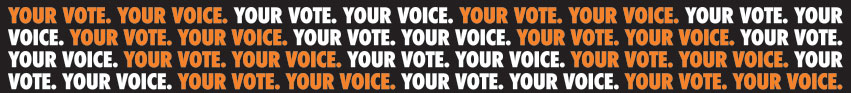 Your voice Your Vote