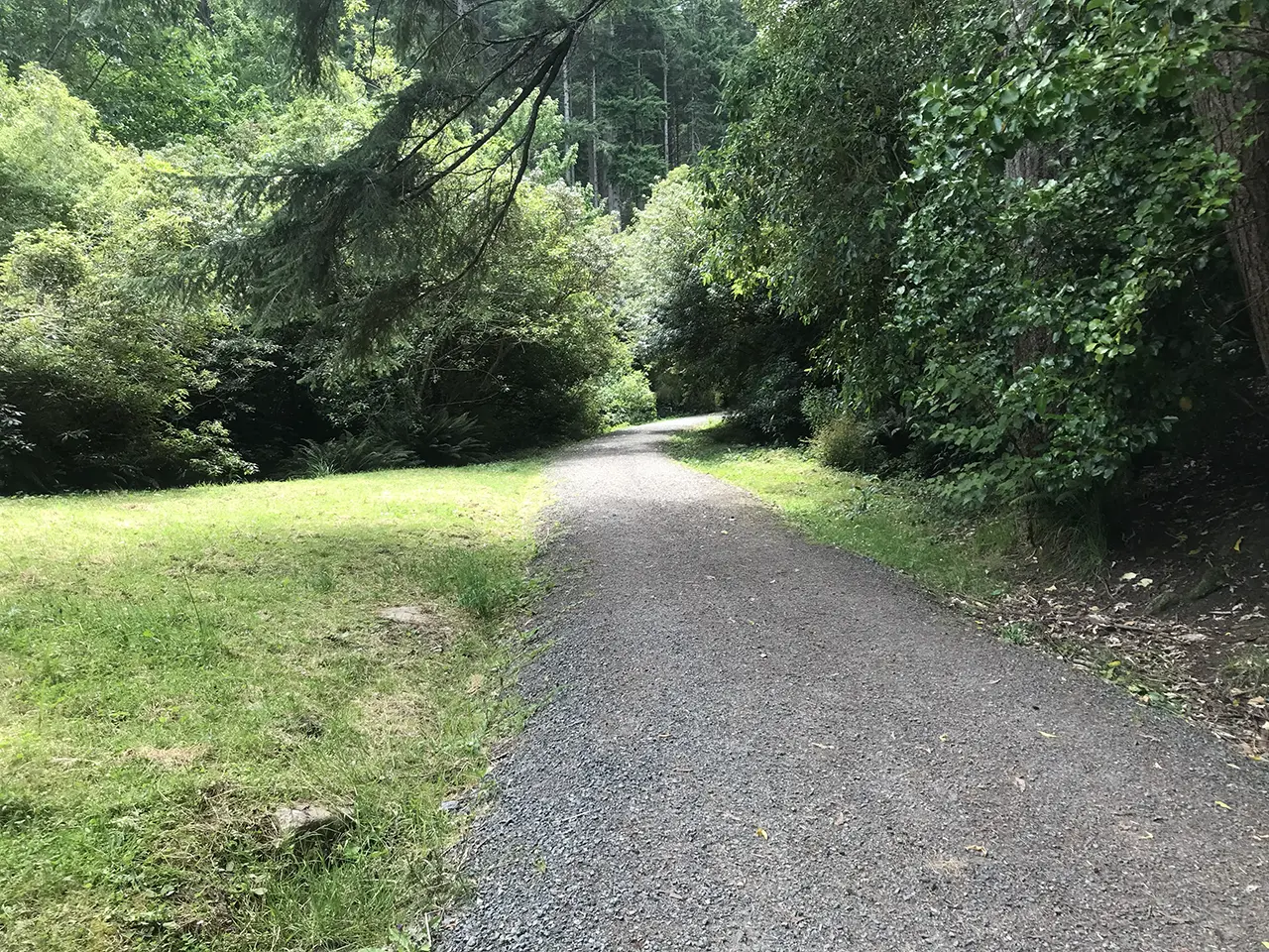 Photo of Mt Cargill Walking Track