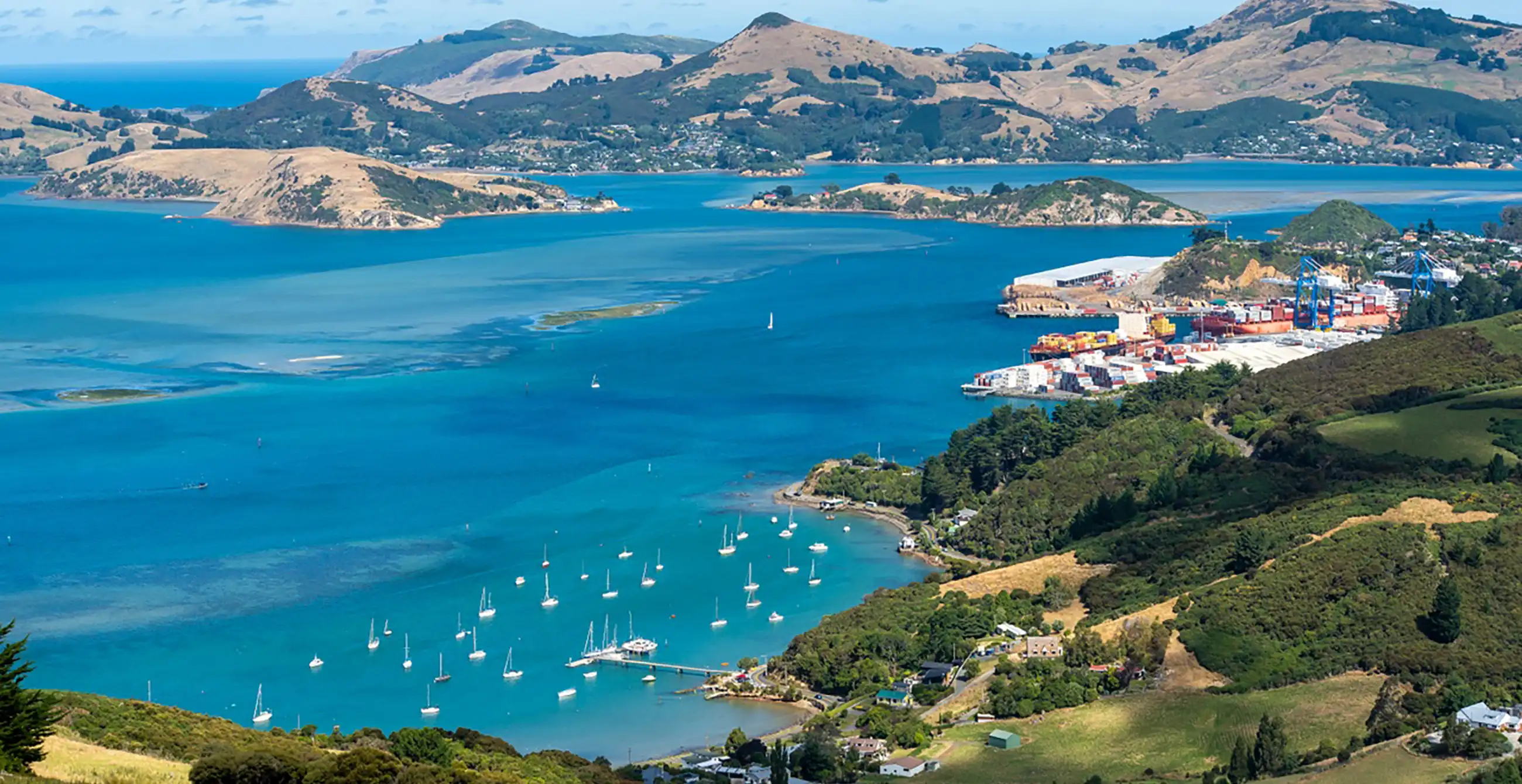 Deborah Bay Otago Harbour 