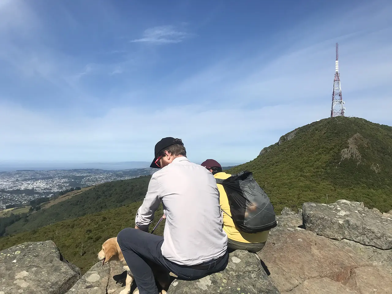 Photo of Mt Cargill Walking Track