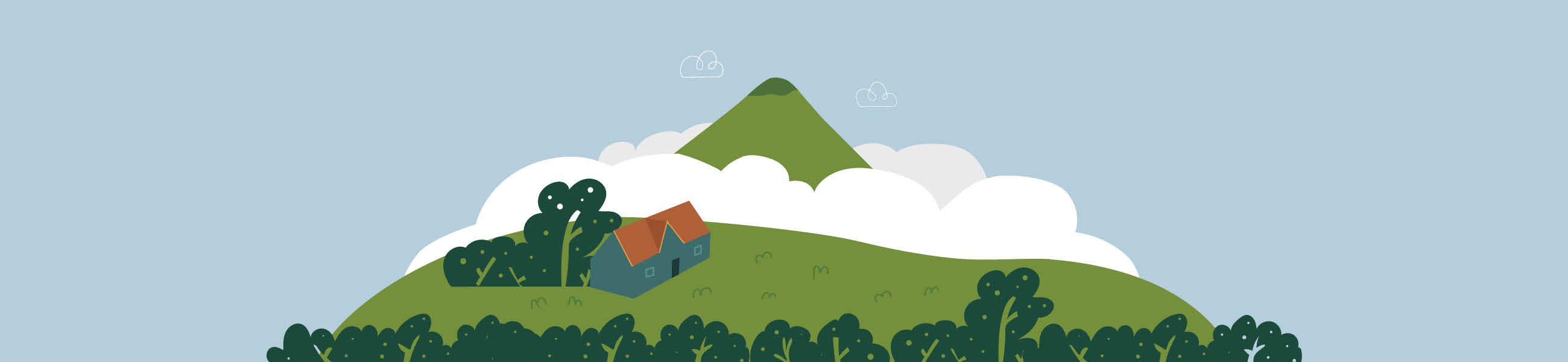 Hereweka Harbour Cone Management Plan review