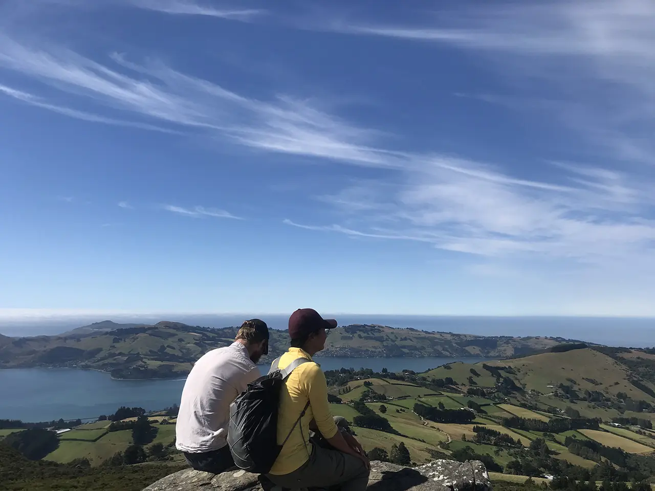 Photo of Mt Cargill Walking Track