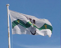 The City of Dunedin Flag The City of Dunedin Flag